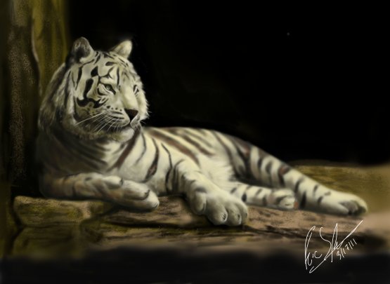 Tiger By franeres