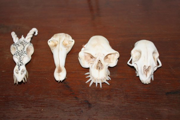Skulls By brusco53