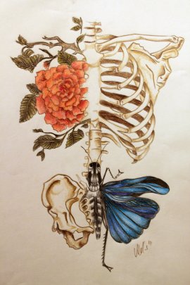 Anatomy By MelissaSynSmash