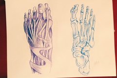 Anatomy Sketch Feet
