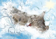 Heavenly Sleep By Szuzi