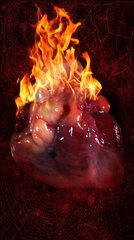 The Burning Heart
