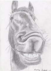 Trollface!Horse By Gaki-gaki
