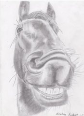 Trollface!Horse