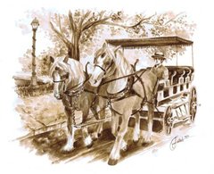 Horse N\' Buggy