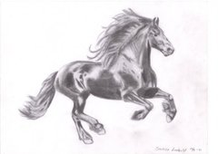 Friesian Horse