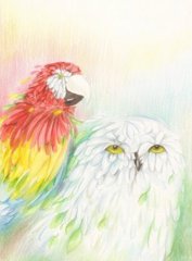 The Owl And Macaw By Keldha