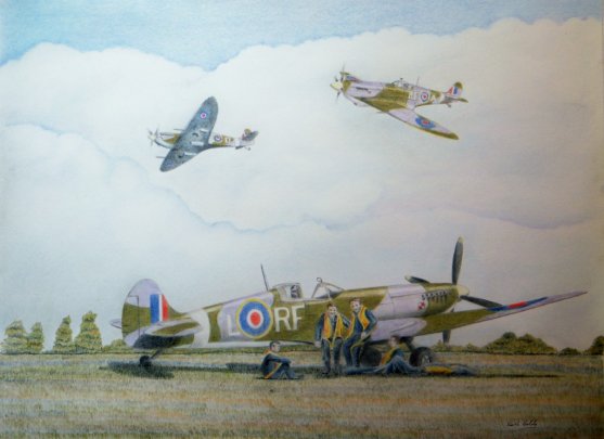 303 Squadron Two By Boldy