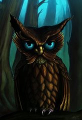 Golden Owl By Kaia