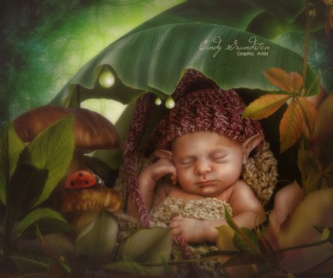 Elf Baby By Cindy