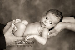 Newborn photographer ny By Dalia