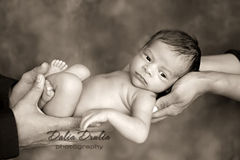 Newborn photographer ny